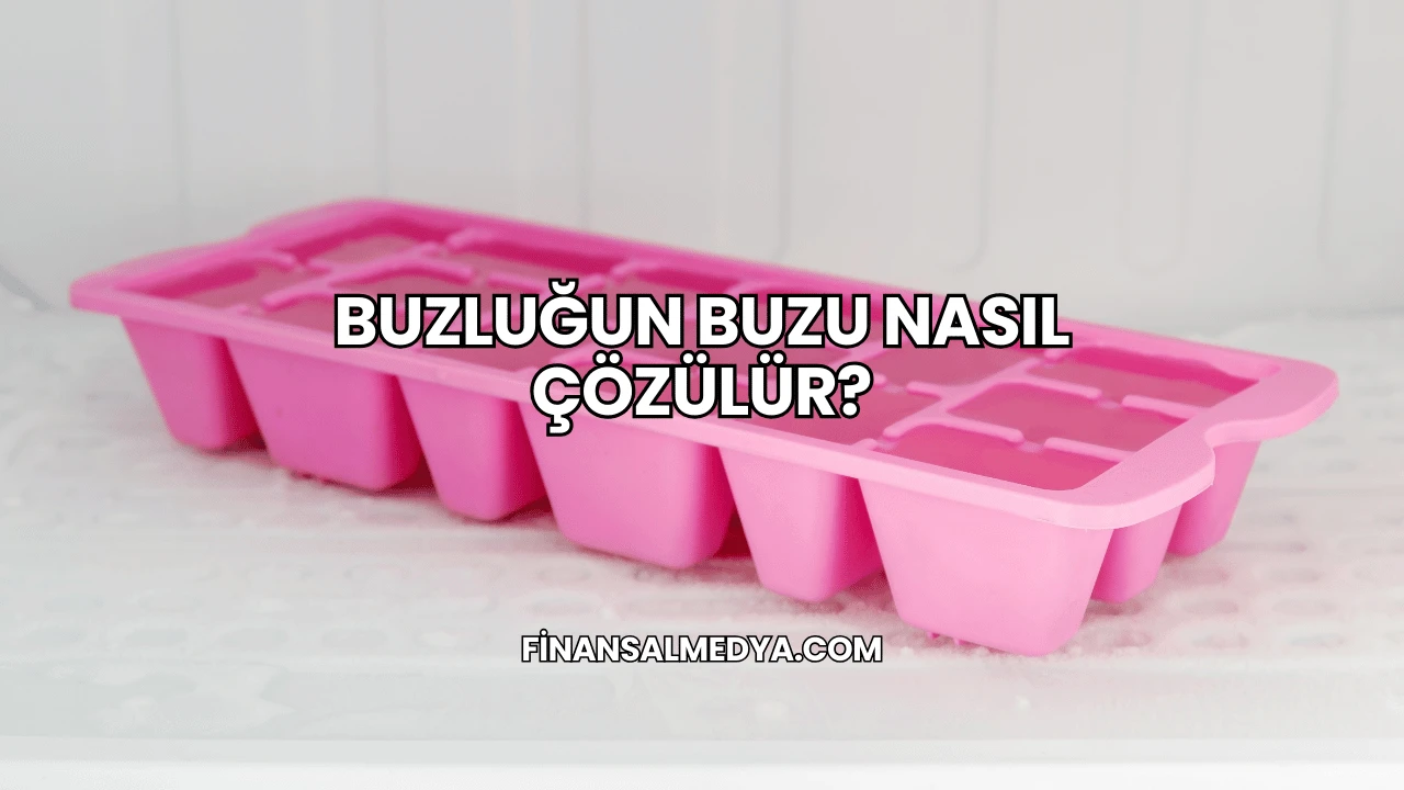 Buzluğun Buzu Nasıl Çözülür?