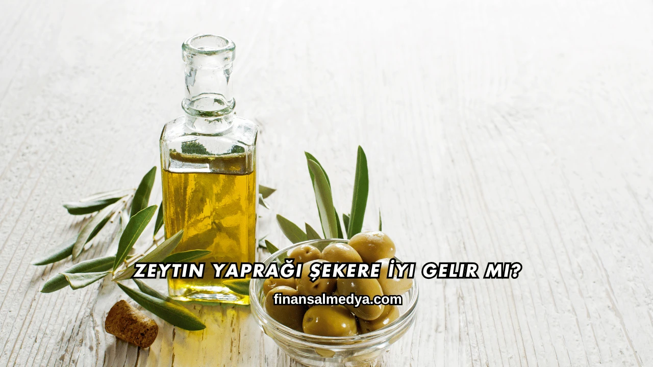 Zeytin Yaprağı Şekere İyi Gelir mi?