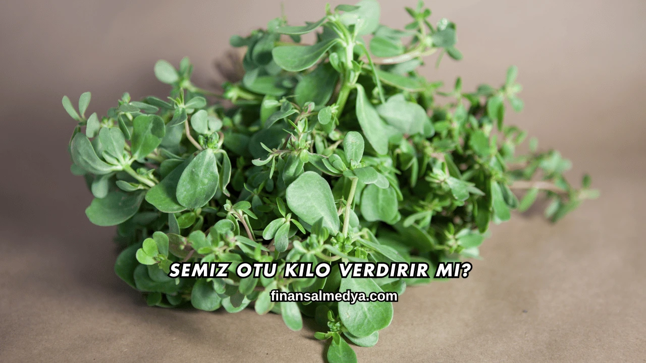 Semiz Otu Kilo Verdirir mi?