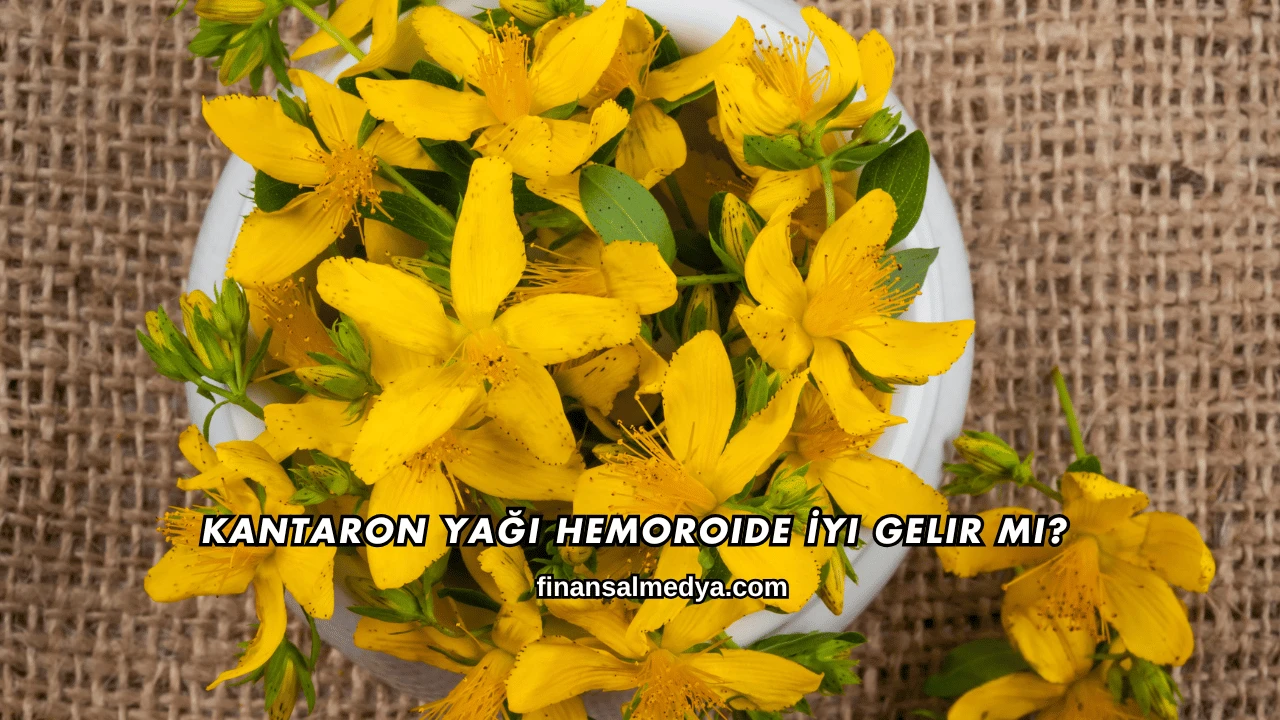 Kantaron Yağı Hemoroide İyi Gelir mi?