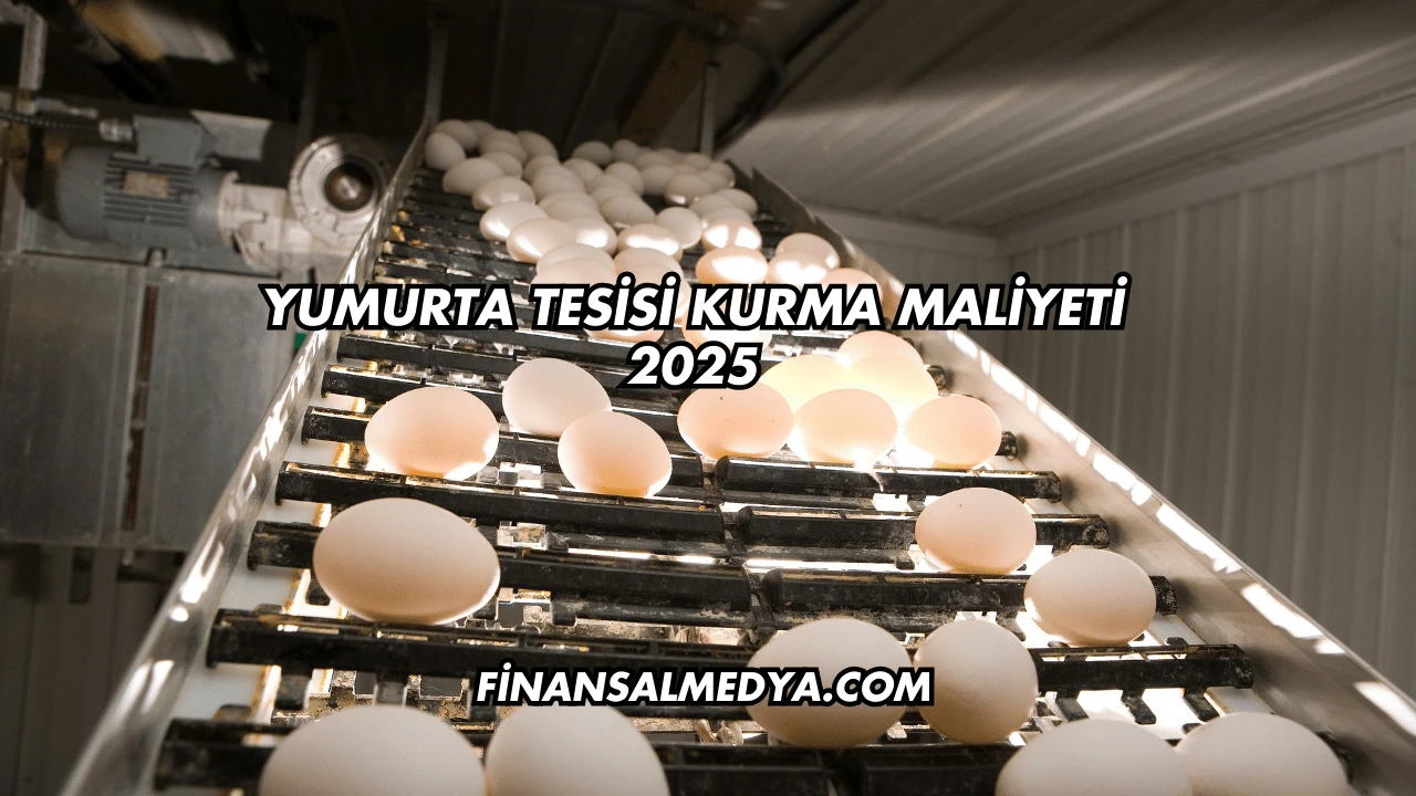 Yumurta Tesisi Kurma Maliyeti 2025