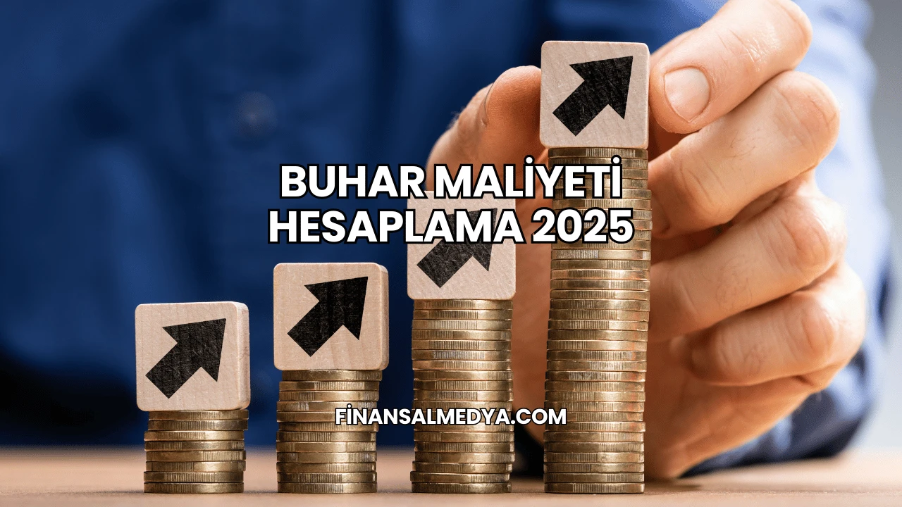 Buhar Maliyeti Hesaplama 2025