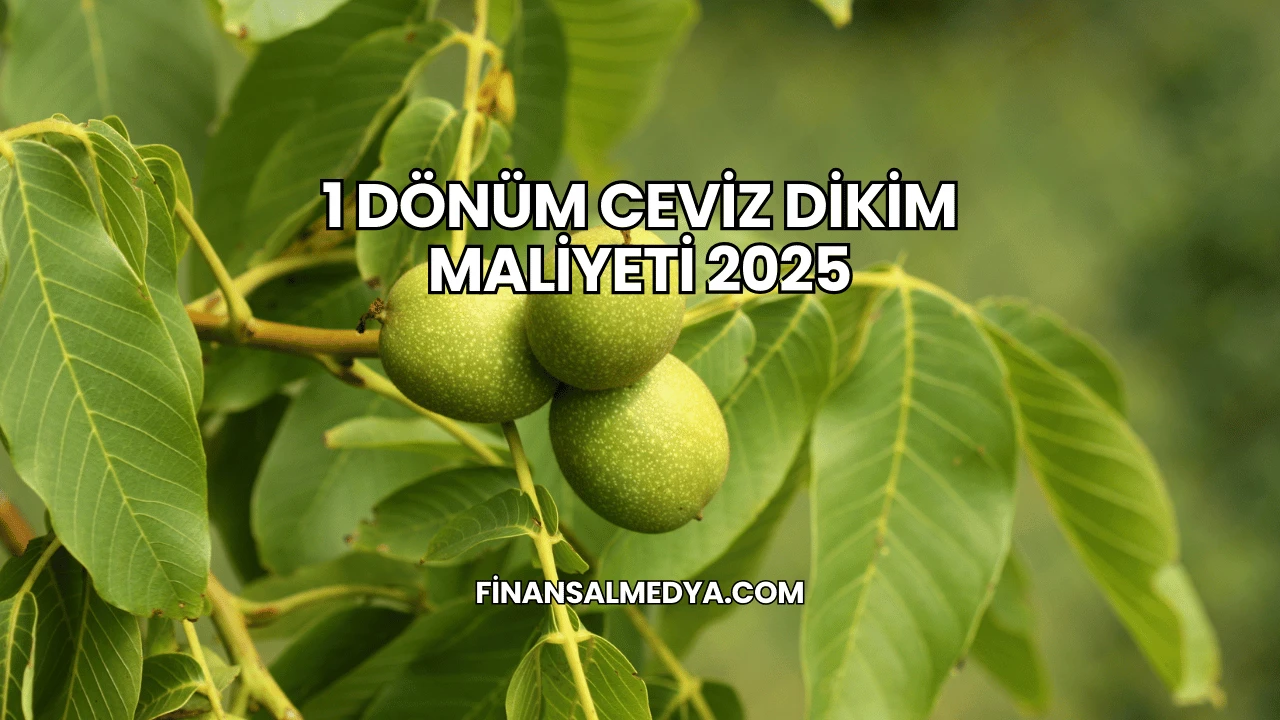 1 Dönüm Ceviz Dikim Maliyeti 2025