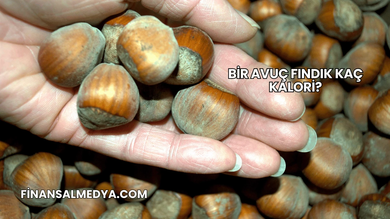 Bir Avuç Fındık Kaç Kalori?