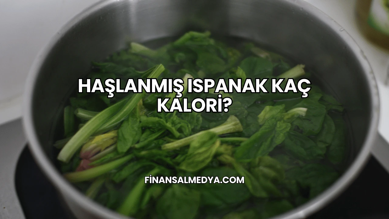 Haşlanmış Ispanak Kaç Kalori?