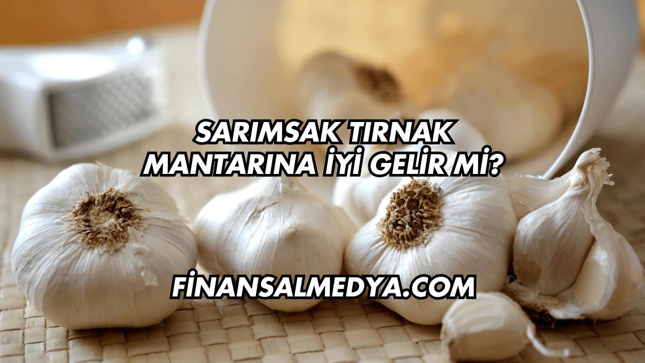 Sarımsak Tırnak Mantarına İyi Gelir mi?