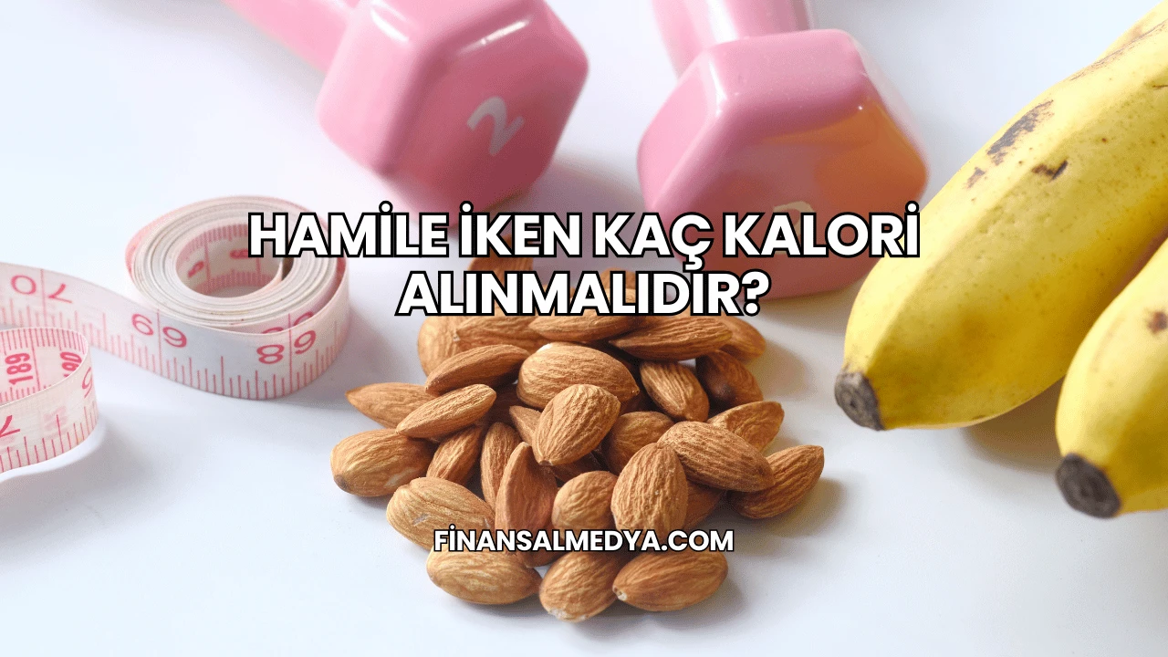 Hamile İken Kaç Kalori Alınmalıdır?