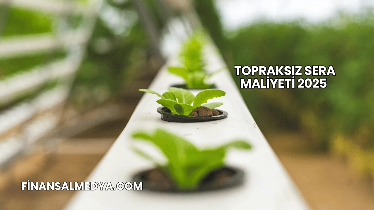 Topraksız Sera Maliyeti 2025
