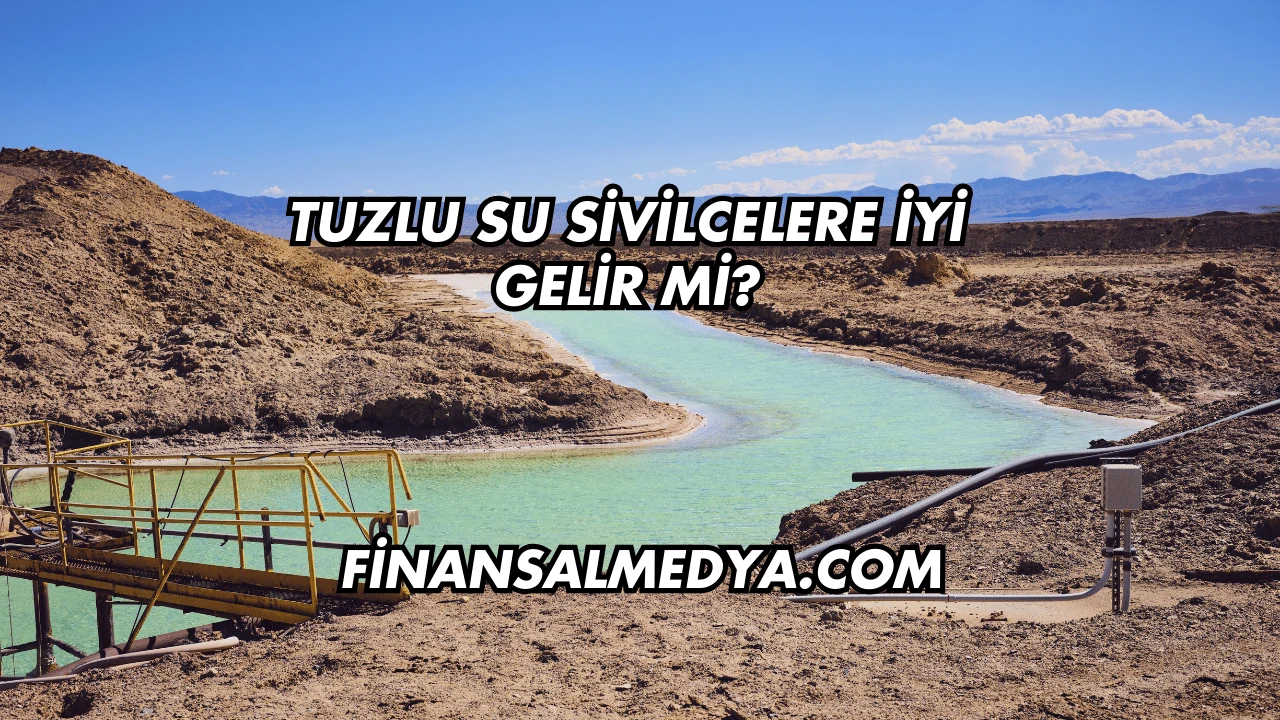 Tuzlu Su Sivilcelere İyi Gelir mi?