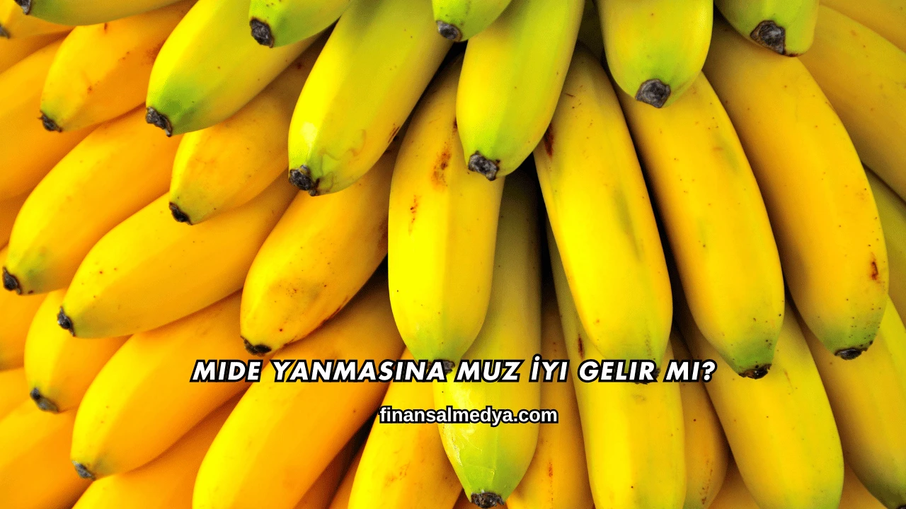 Mide Yanmasına Muz İyi Gelir mi?
