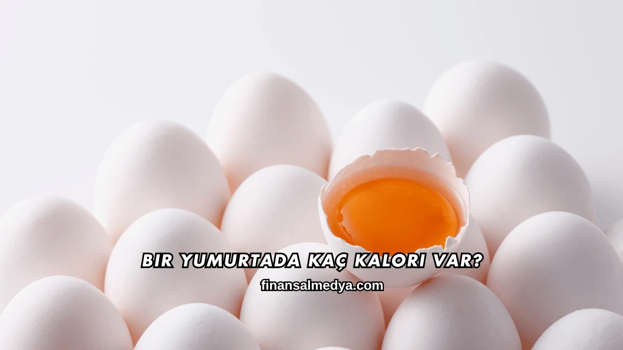 Bir Yumurtada Kaç Kalori Var?