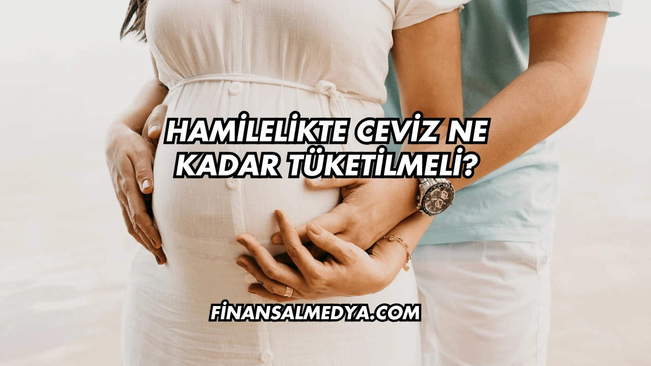 Hamilelikte Ceviz Ne Kadar Tüketilmeli?