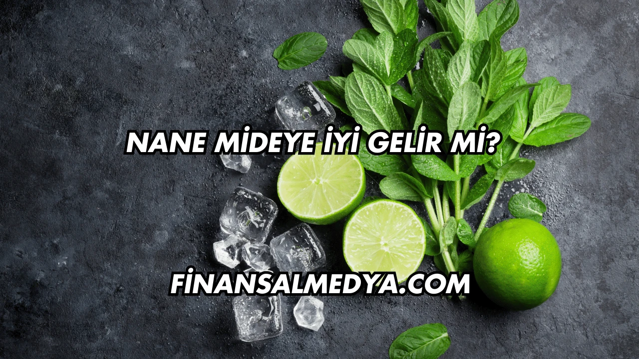 Nane Mideye İyi Gelir mi?