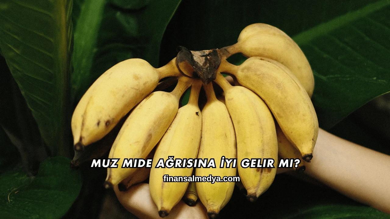 Muz Mide Ağrısına İyi Gelir mi?