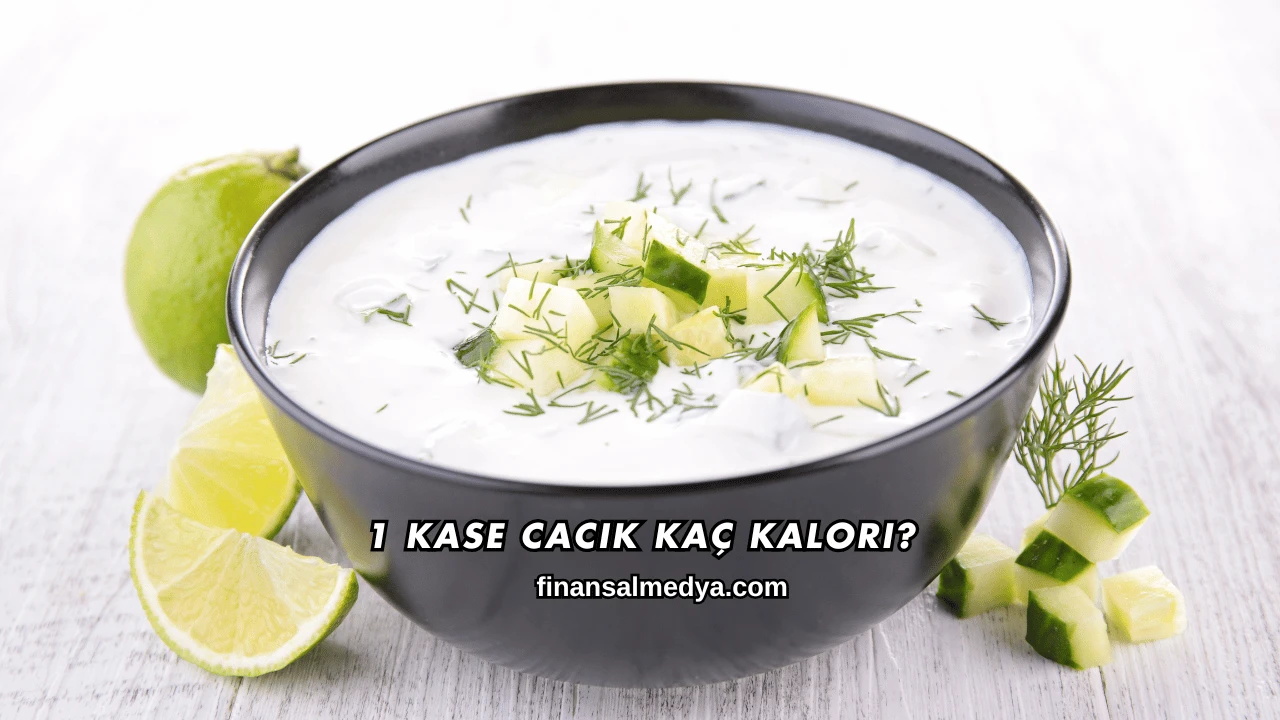 1 Kase Cacık Kaç Kalori?