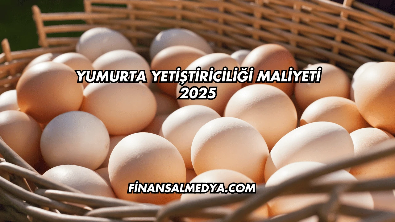Yumurta Yetiştiriciliği Maliyeti 2025