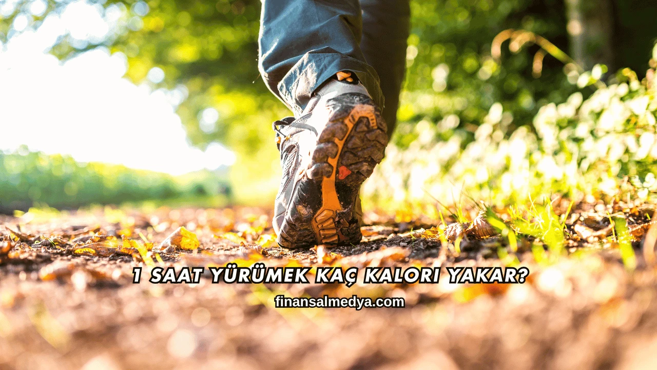 1 Saat Yürümek Kaç Kalori Yakar?