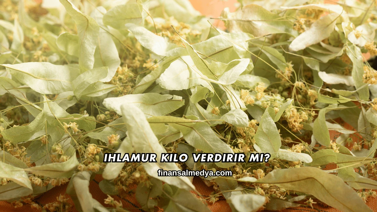 Ihlamur Kilo Verdirir mi?