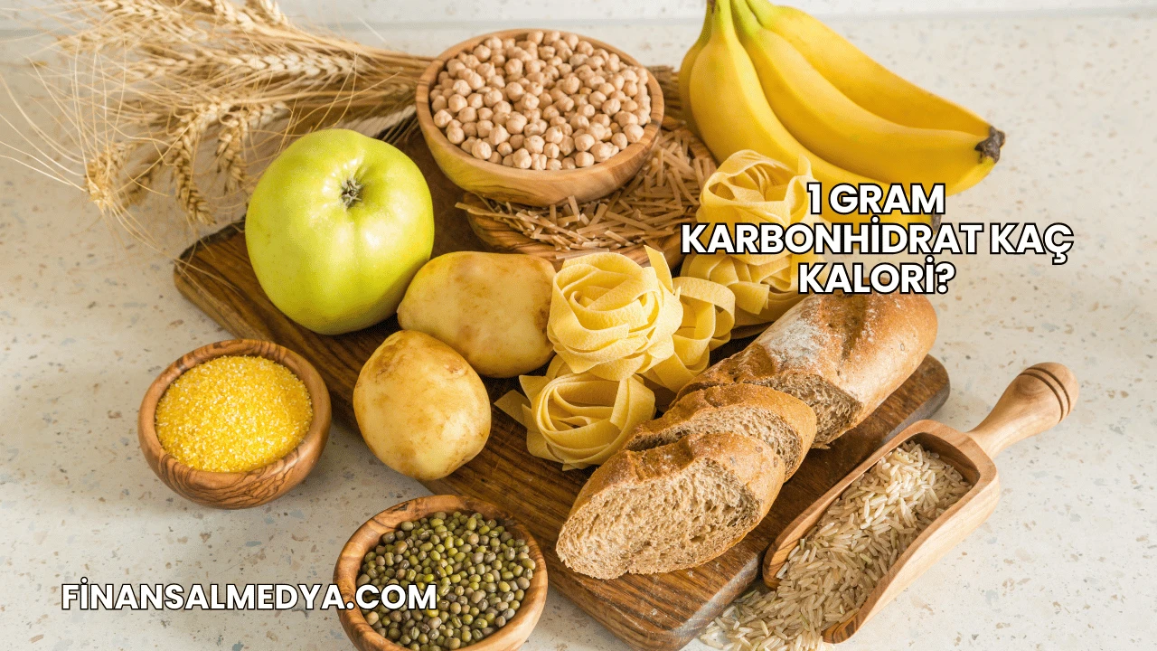 1 Gram Karbonhidrat Kaç Kalori?