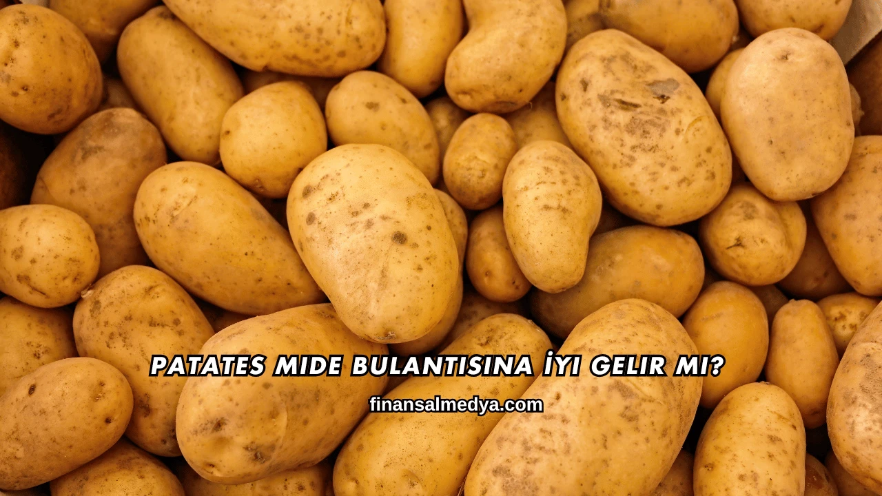 Patates Mide Bulantısına İyi Gelir mi?