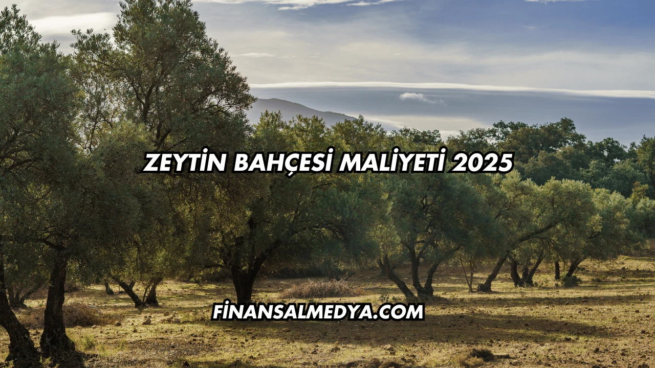 Zeytin Bahçesi Maliyeti 2025