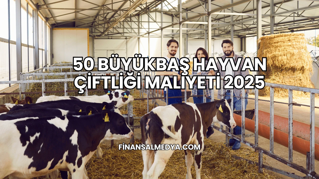 50 Büyükbaş Hayvan Çiftliği Maliyeti 2025