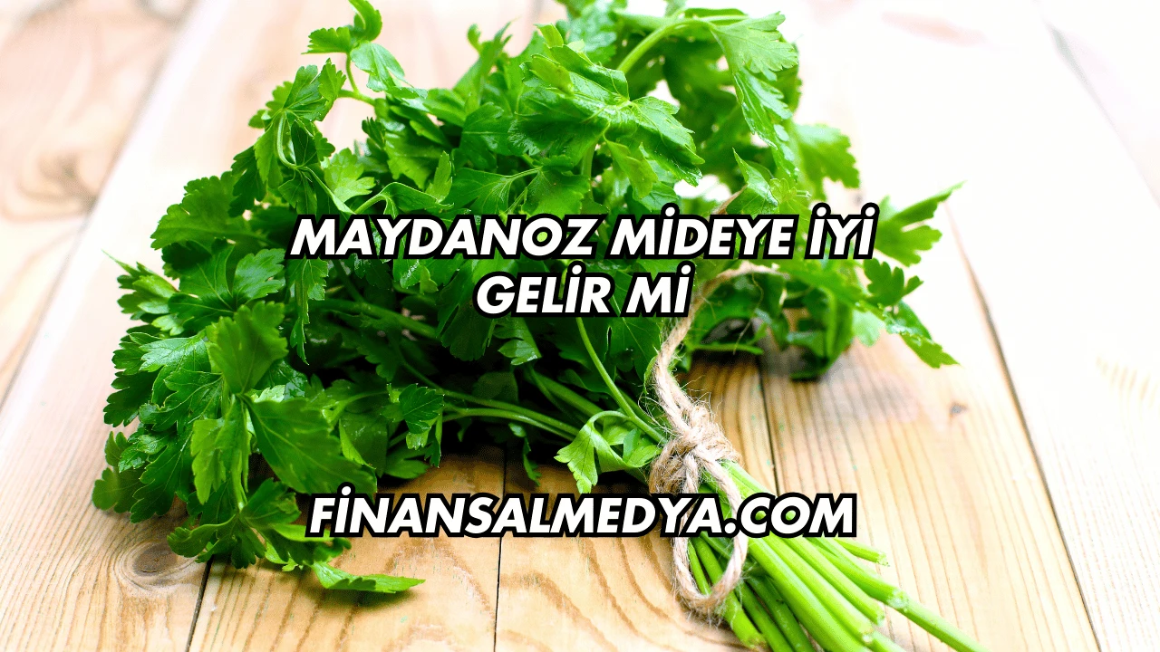 Maydanoz Mideye İyi Gelir mi