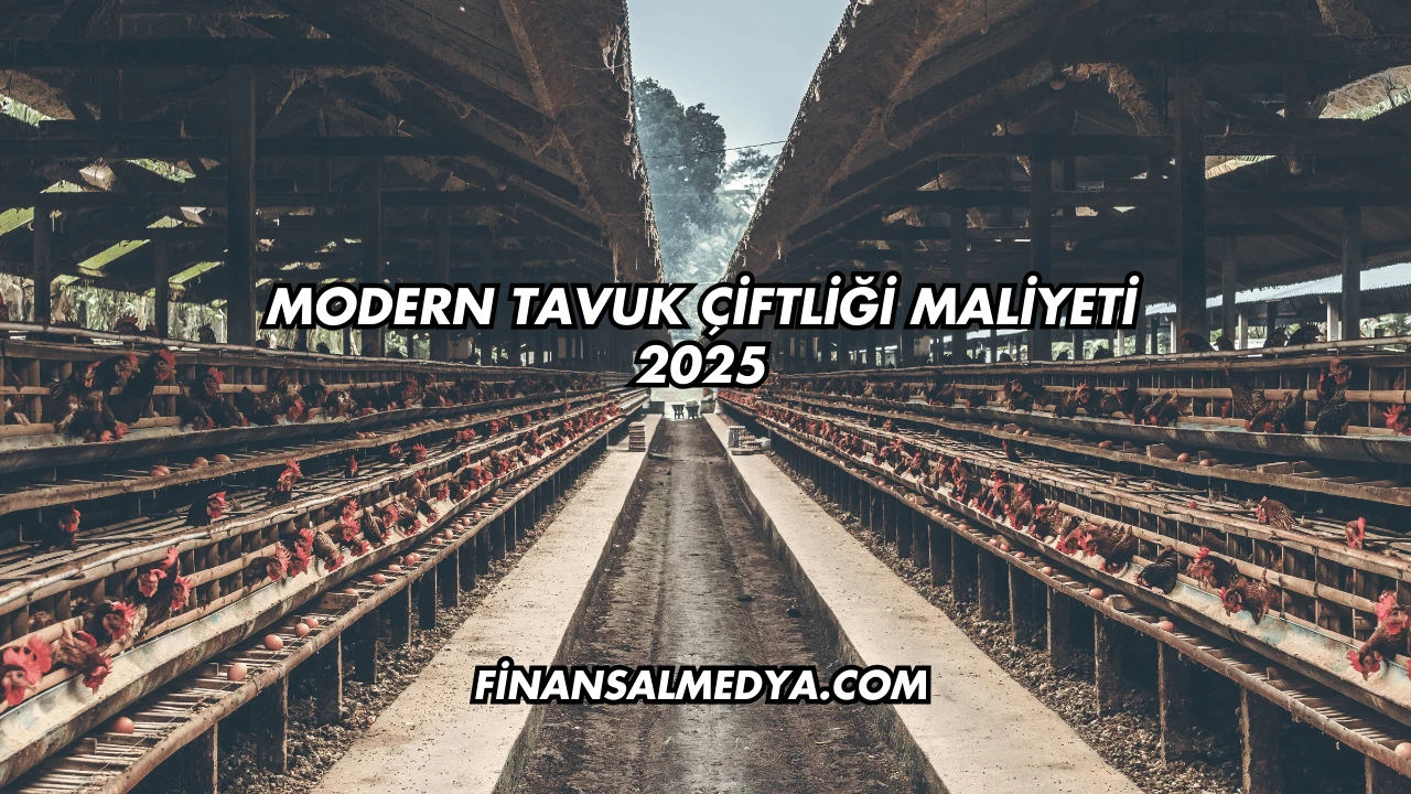 Modern Tavuk Çiftliği Maliyeti 2025