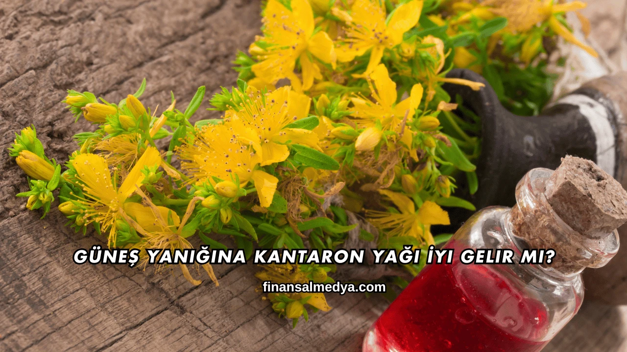 Güneş Yanığına Kantaron Yağı İyi Gelir mi?