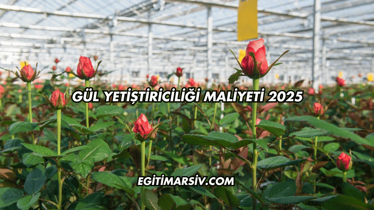 Gül Yetiştiriciliği Maliyeti 2025