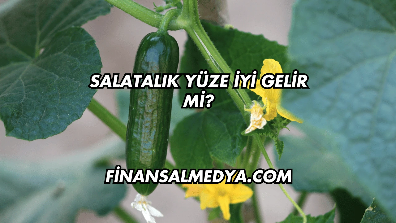 Salatalık Yüze İyi Gelir mi?