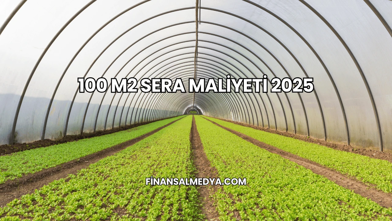 100 M2 Sera Maliyeti 2025