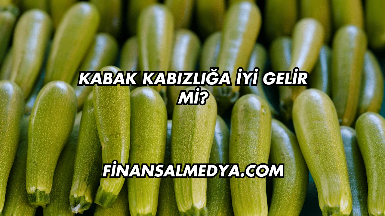 Kabak Kabızlığa İyi Gelir mi?