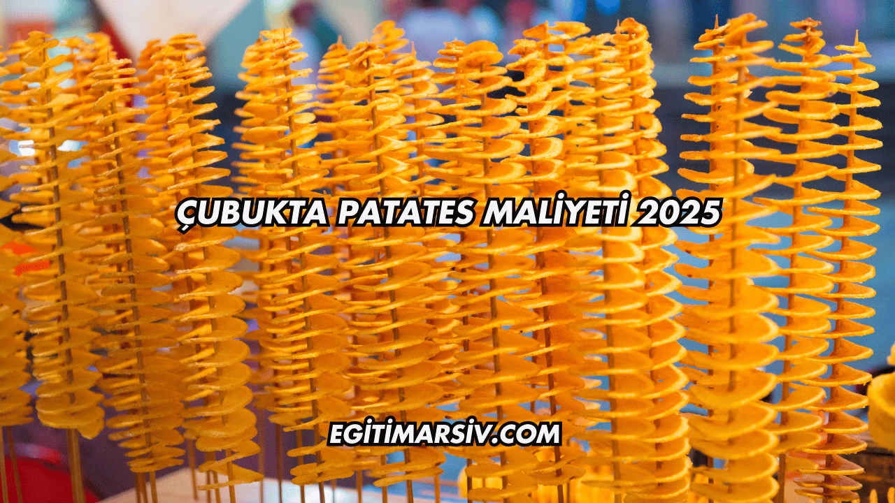 Çubukta Patates Maliyeti 2025