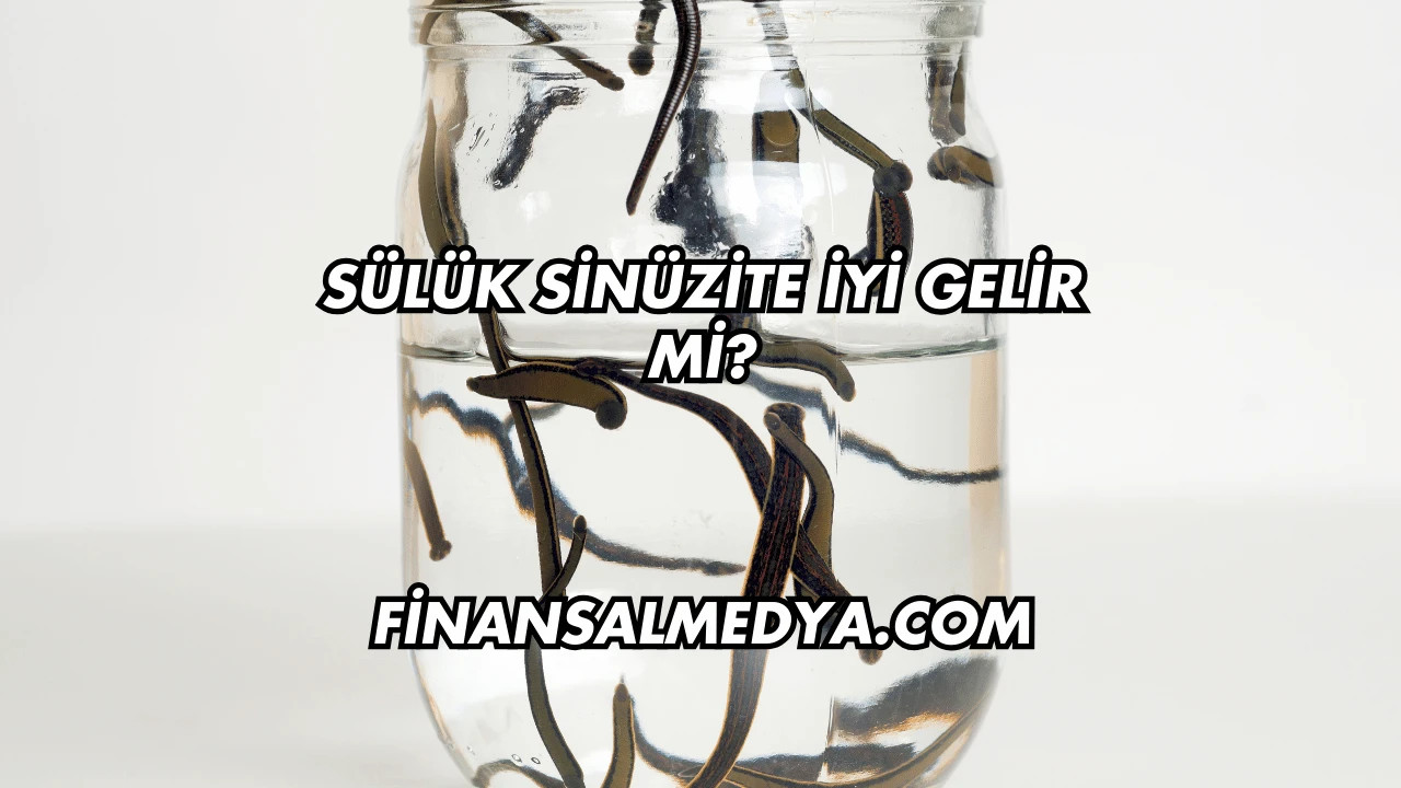Sülük Sinüzite İyi Gelir mi?