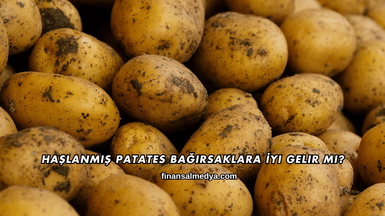 Haşlanmış Patates Bağırsaklara İyi Gelir mi?