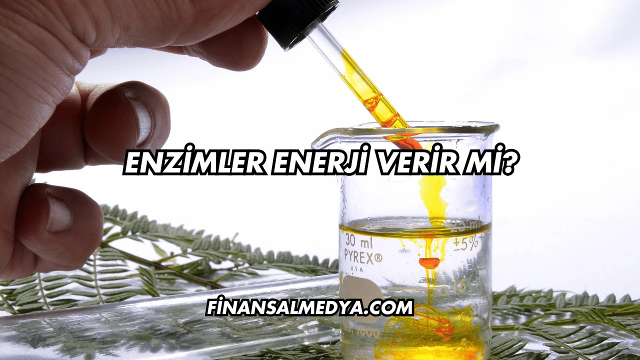 Enzimler Enerji Verir mi?