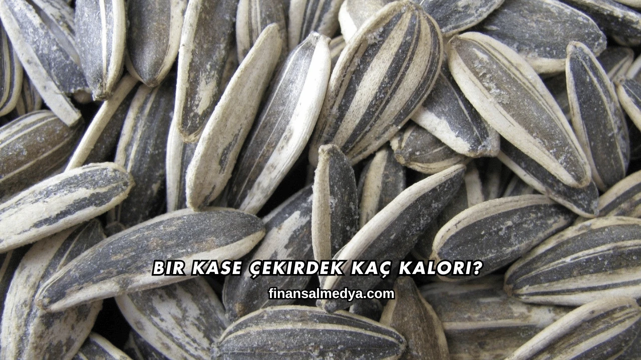 Bir Kase Çekirdek Kaç Kalori?