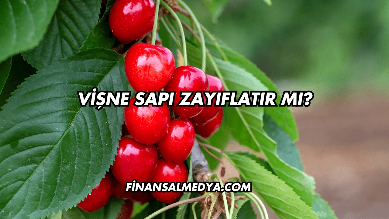 Vişne Sapı Zayıflatır mı?