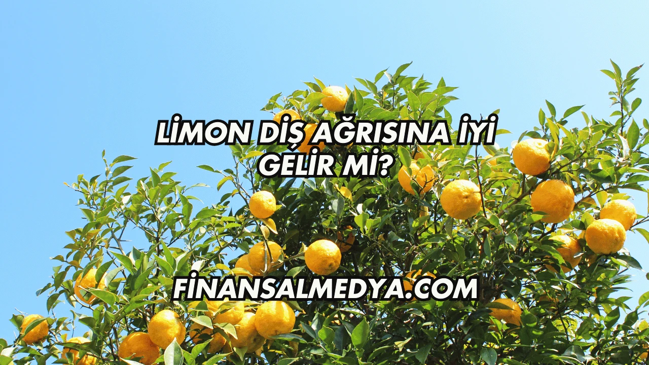 Limon Diş Ağrısına İyi Gelir mi?