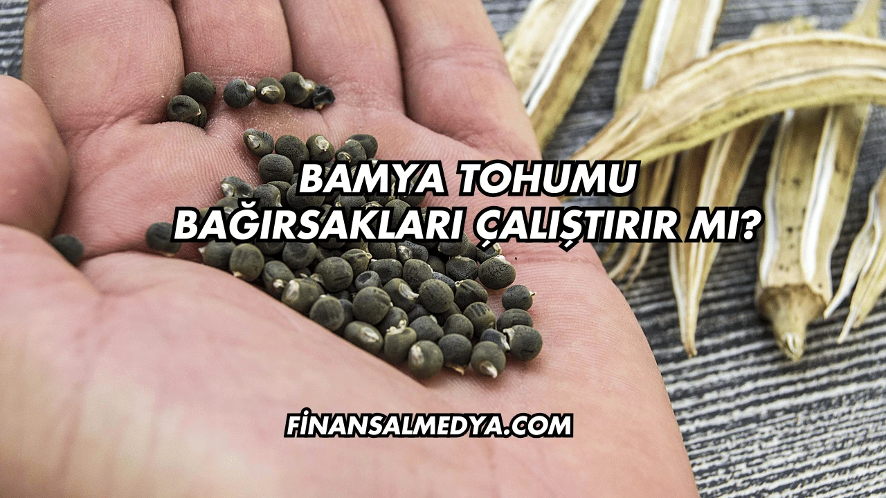 Bamya Tohumu Bağırsakları Çalıştırır mı?
