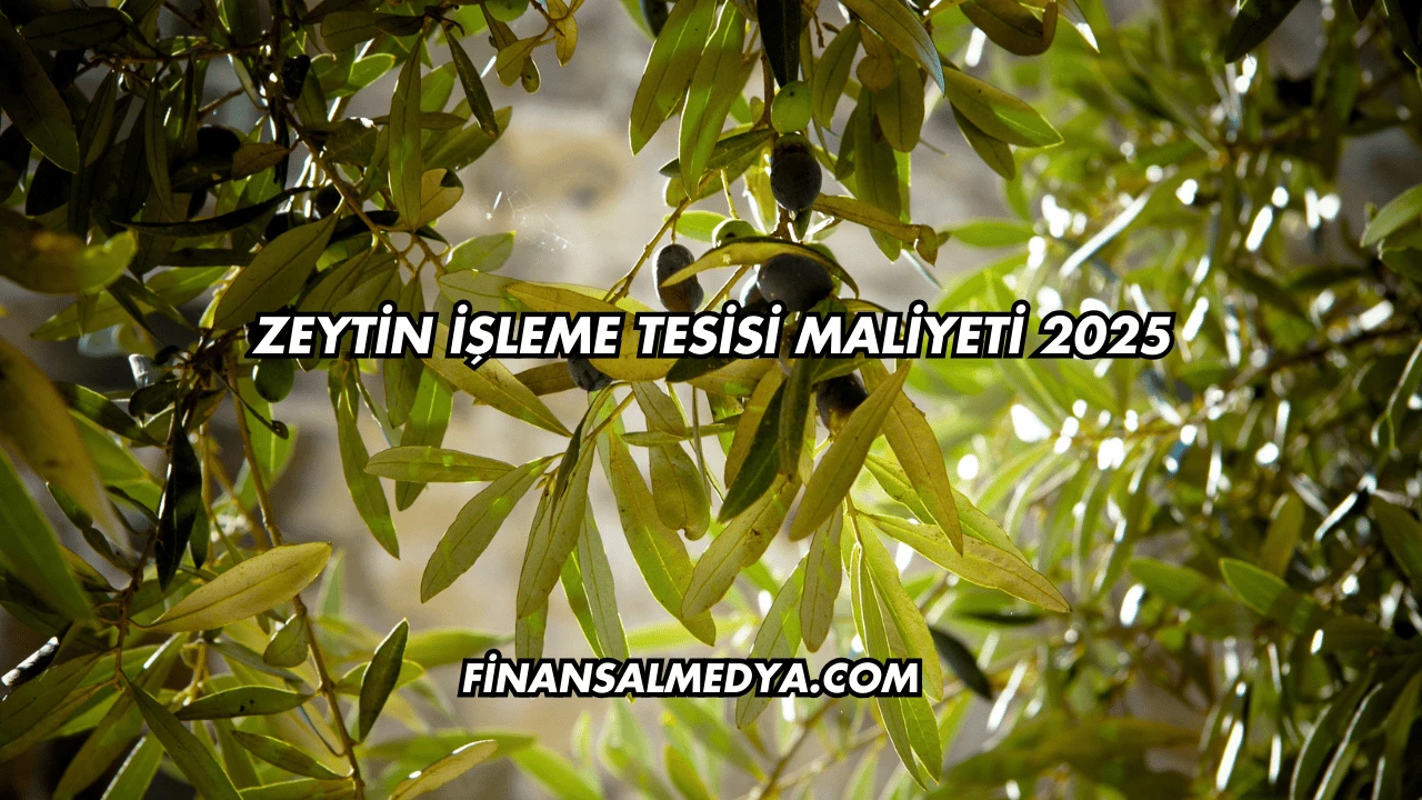 Zeytin İşleme Tesisi Maliyeti 2025