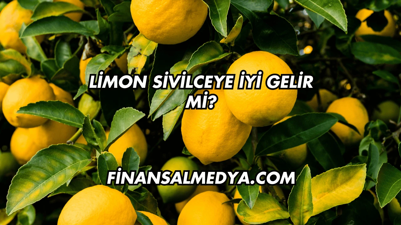 Limon Sivilceye İyi Gelir mi?
