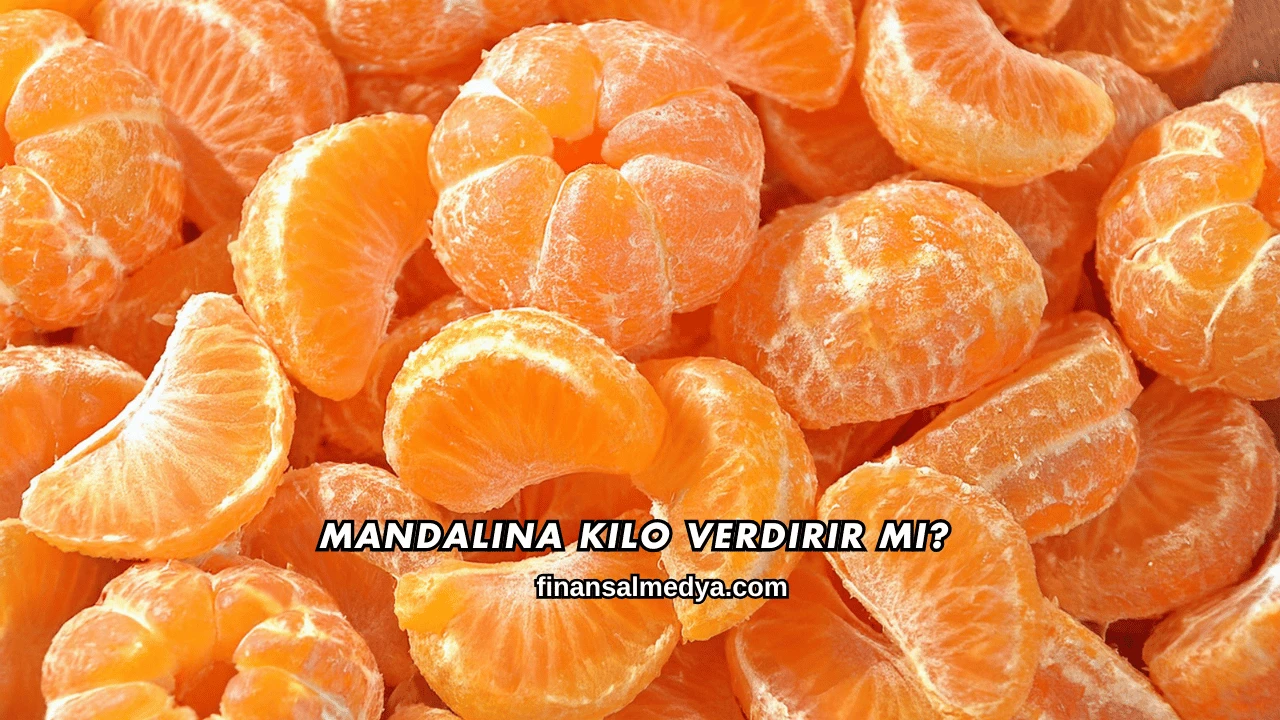 Mandalina Kilo Verdirir mi?