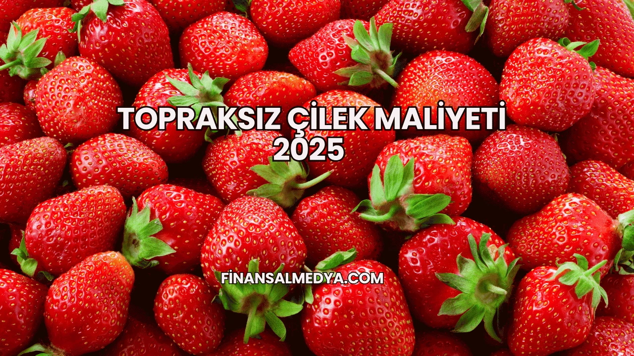Topraksız Çilek Maliyeti 2025