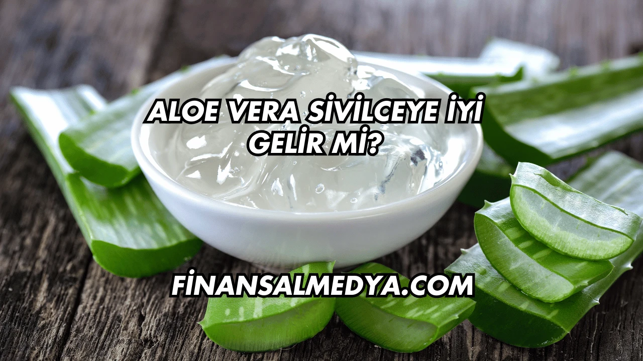Aloe Vera Sivilceye İyi Gelir mi?
