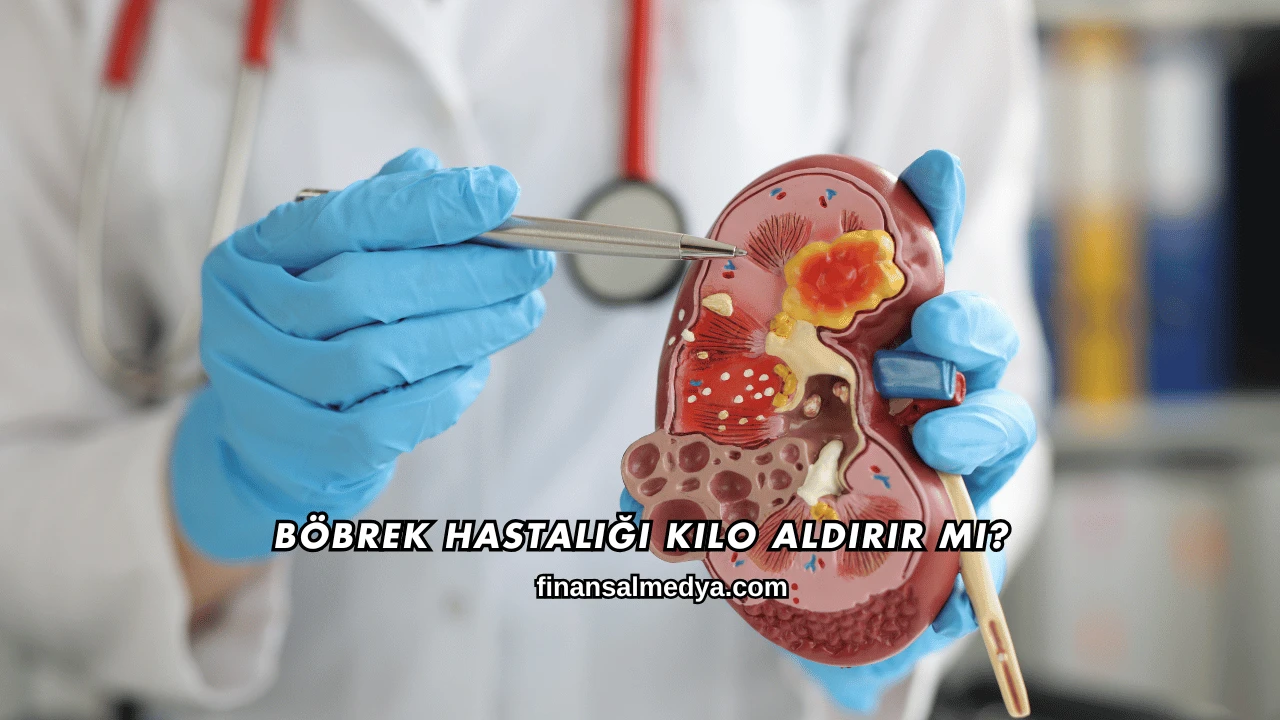 Böbrek Hastalığı Kilo Aldırır mı?