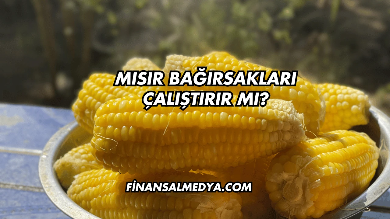 Mısır Bağırsakları Çalıştırır mı?