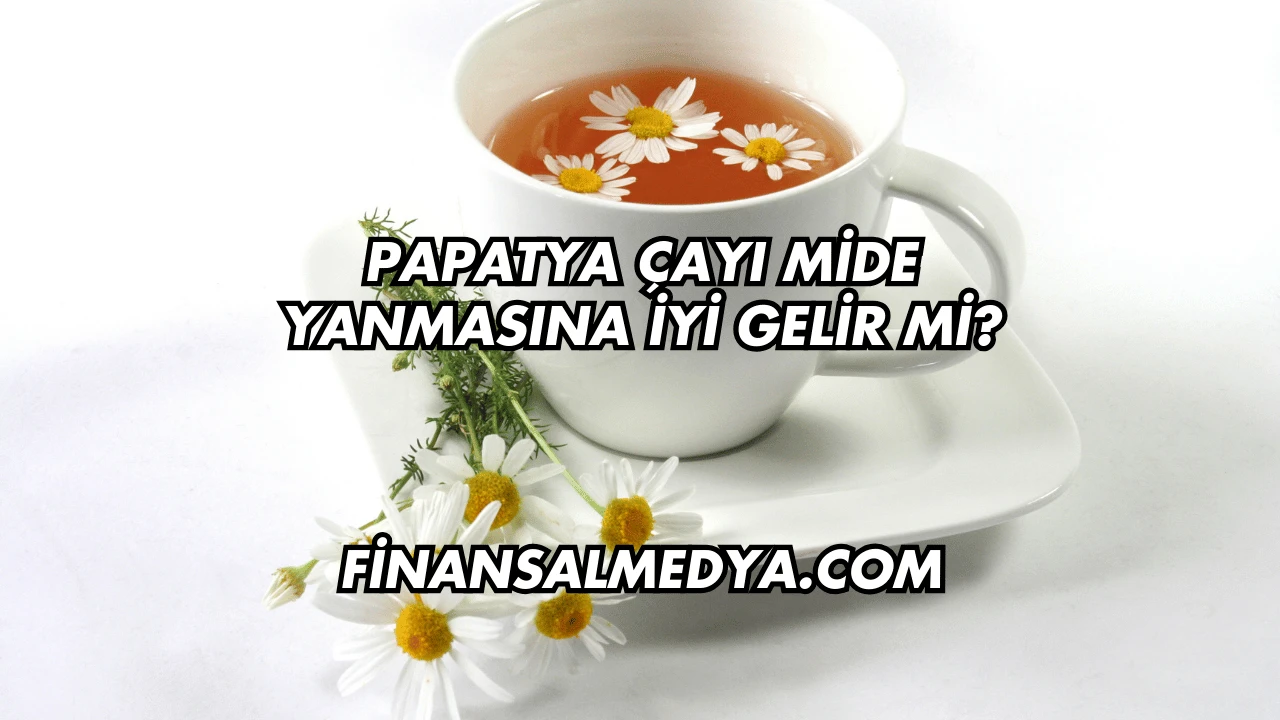 Papatya Çayı Mide Yanmasına İyi Gelir mi?