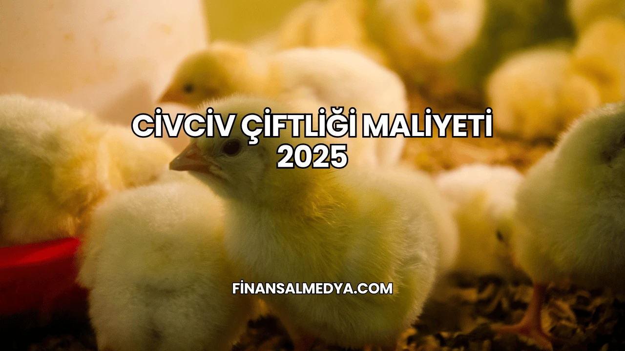 Civciv Çiftliği Maliyeti 2025